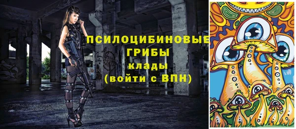 бошки Пестово