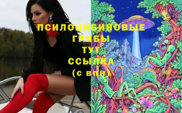 соль ск Няндома