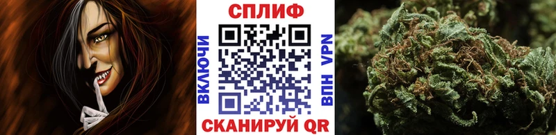 Канабис конопля  купить наркотики сайты  Костерёво 
